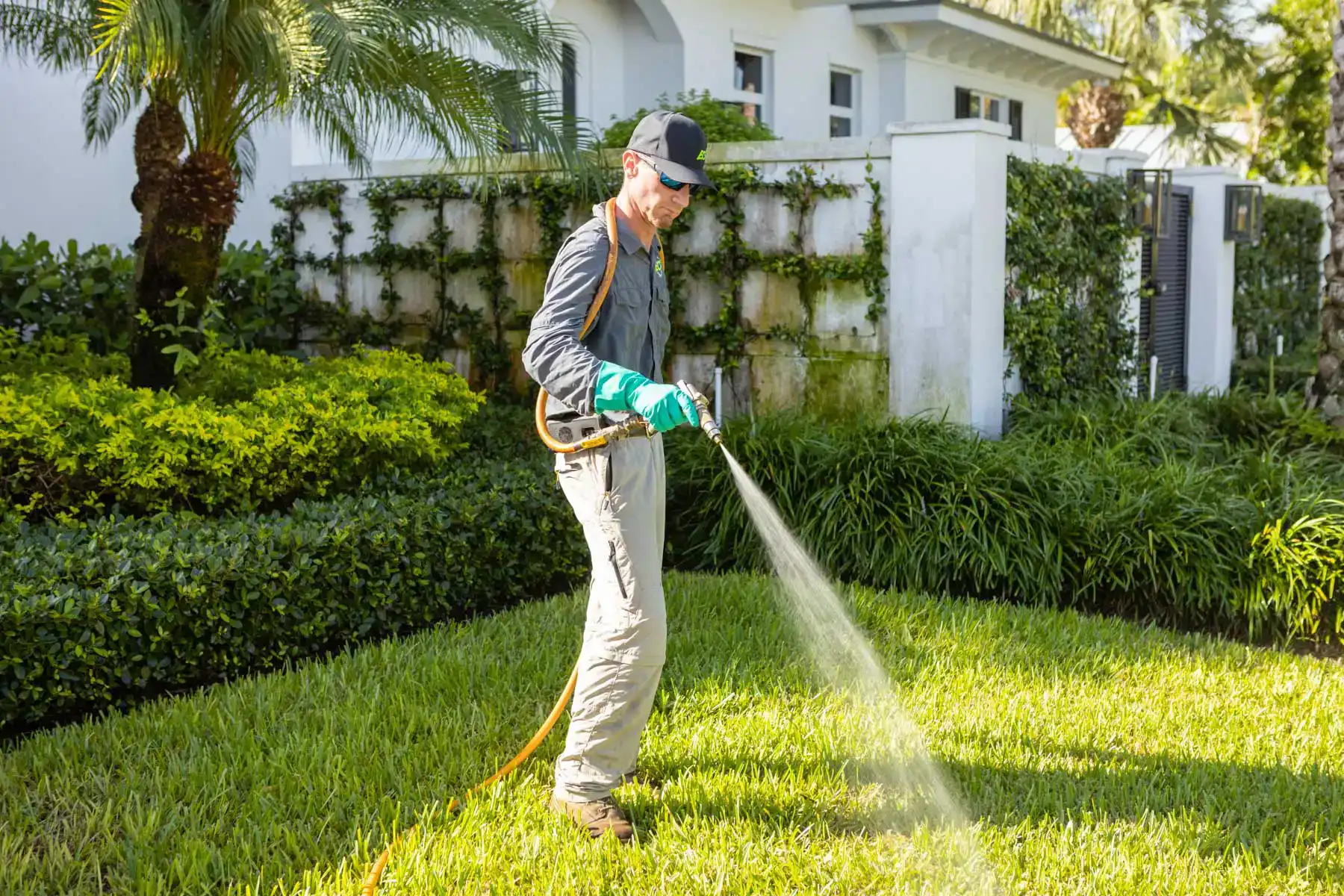 Lawn Treatment