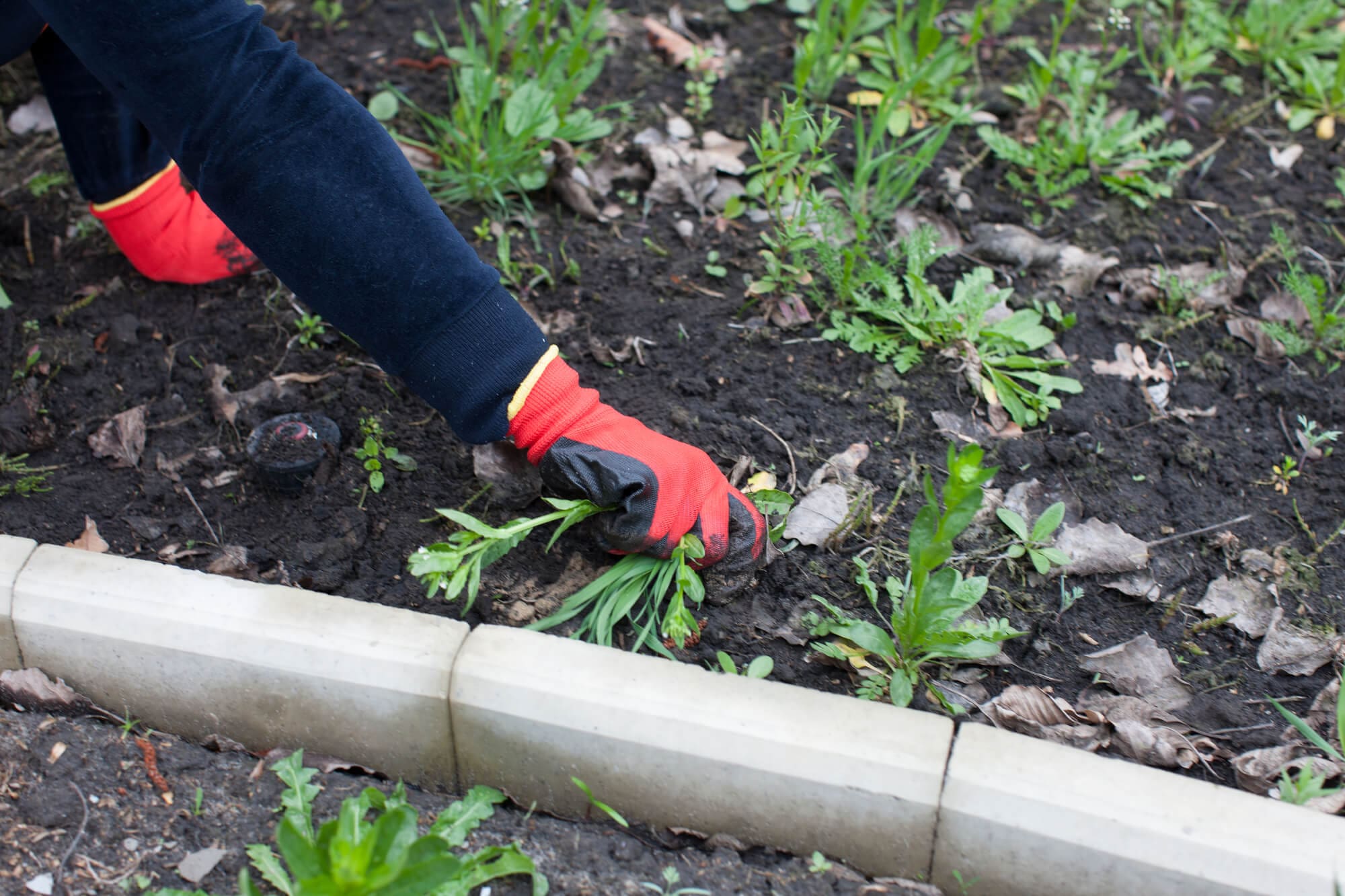 Weed Control Boynton Beach