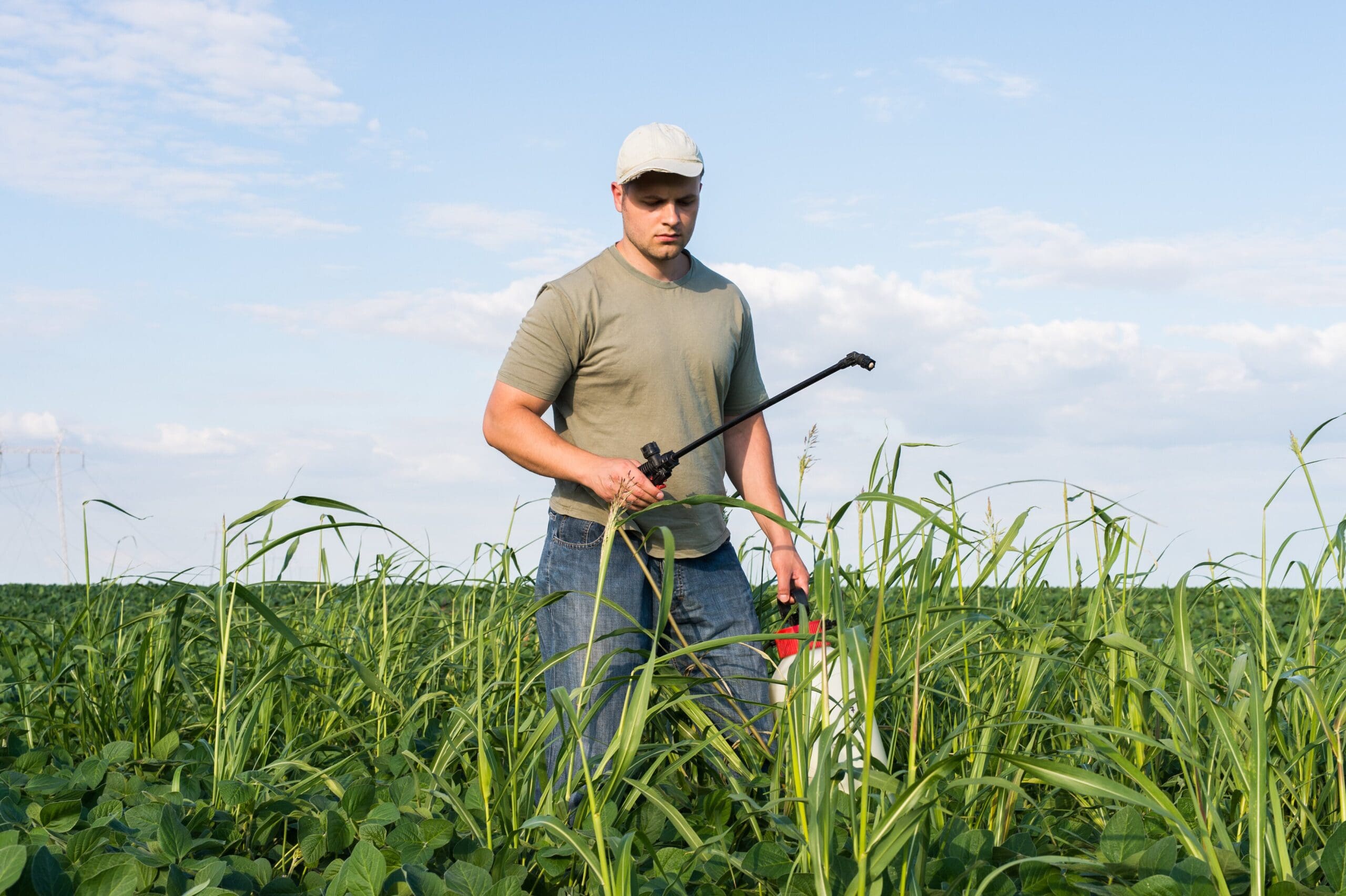 Weed Control Boynton Beach