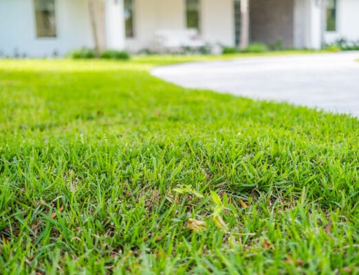 Delray Beach, FL Lawn Care Jobs