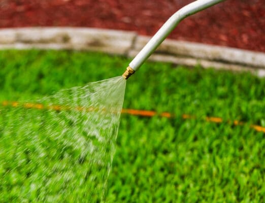 Delray Beach, FL Lawn Care Services