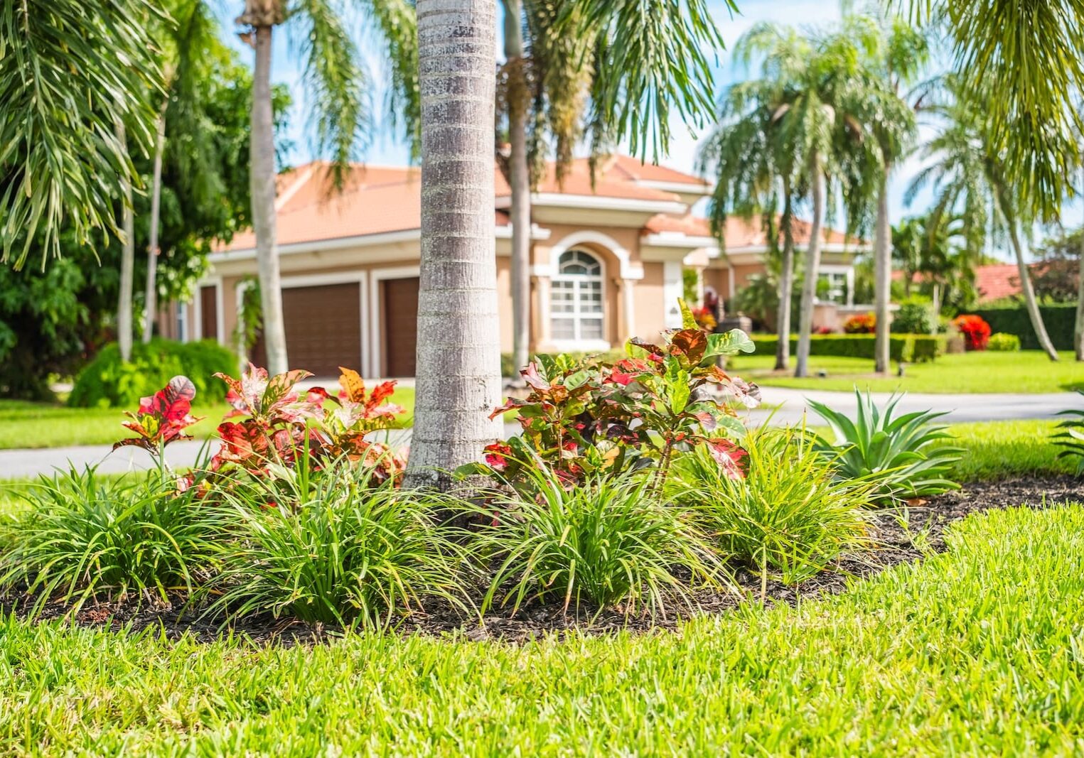 Delray Beach, FL Lawn Care Services