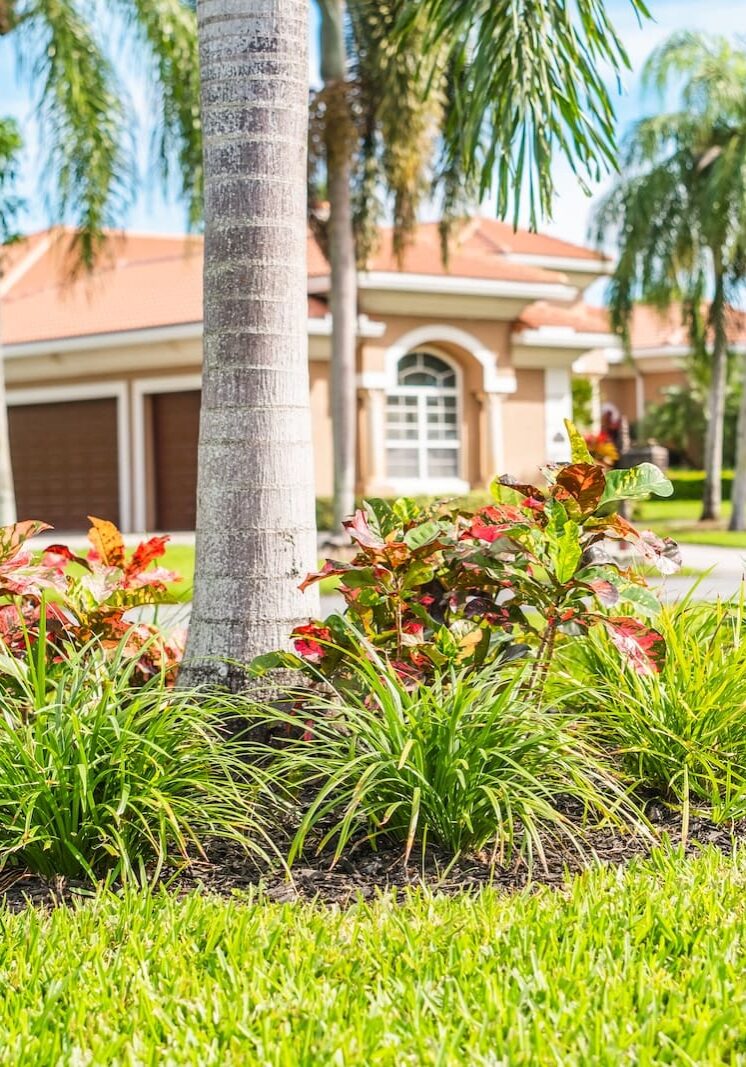 Delray Beach, FL Lawn Care Services Delray Beach, FL Lawn Care Services