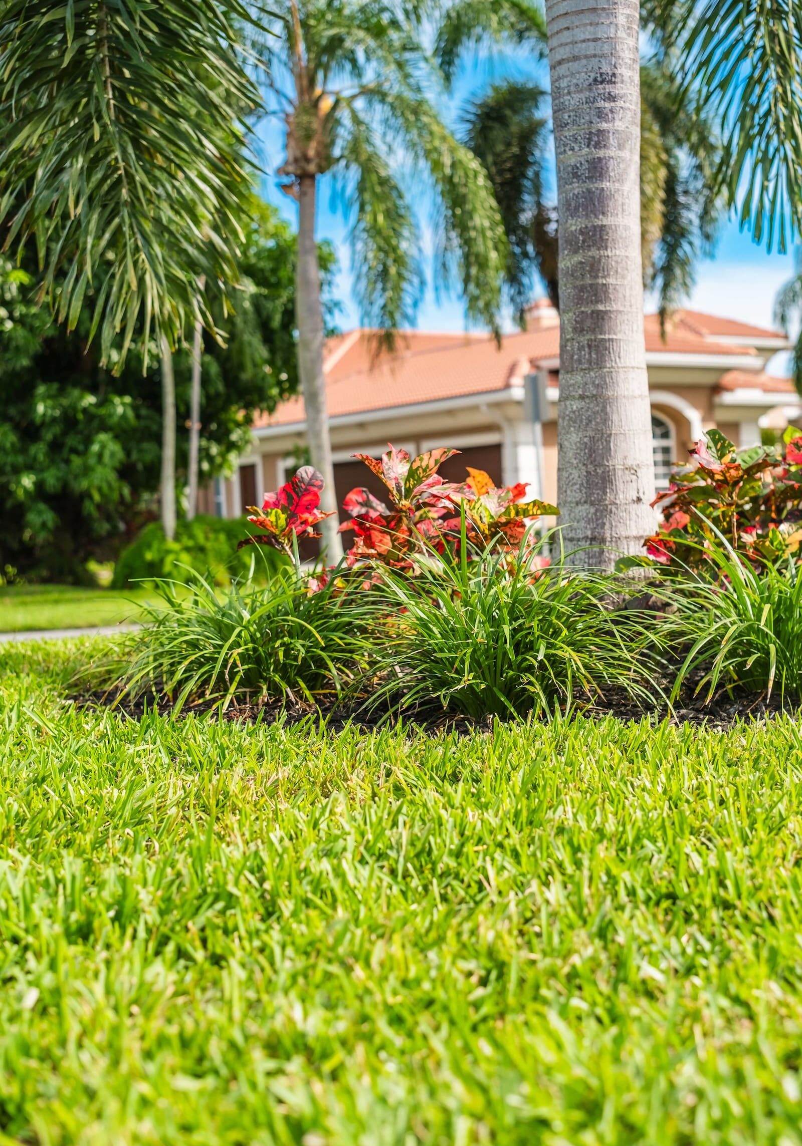 Delray Beach, FL Lawn Care Services
