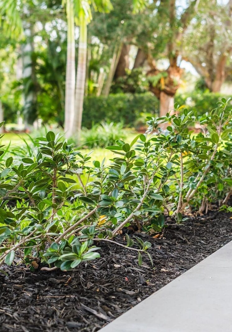 Jupiter, FL Lawn Care Services