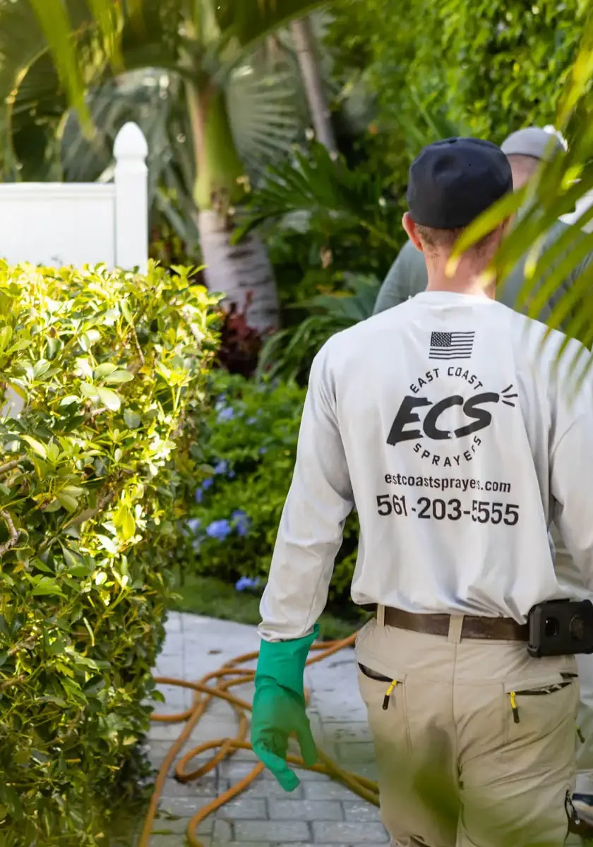 Delray Beach, FL Weed Control Services