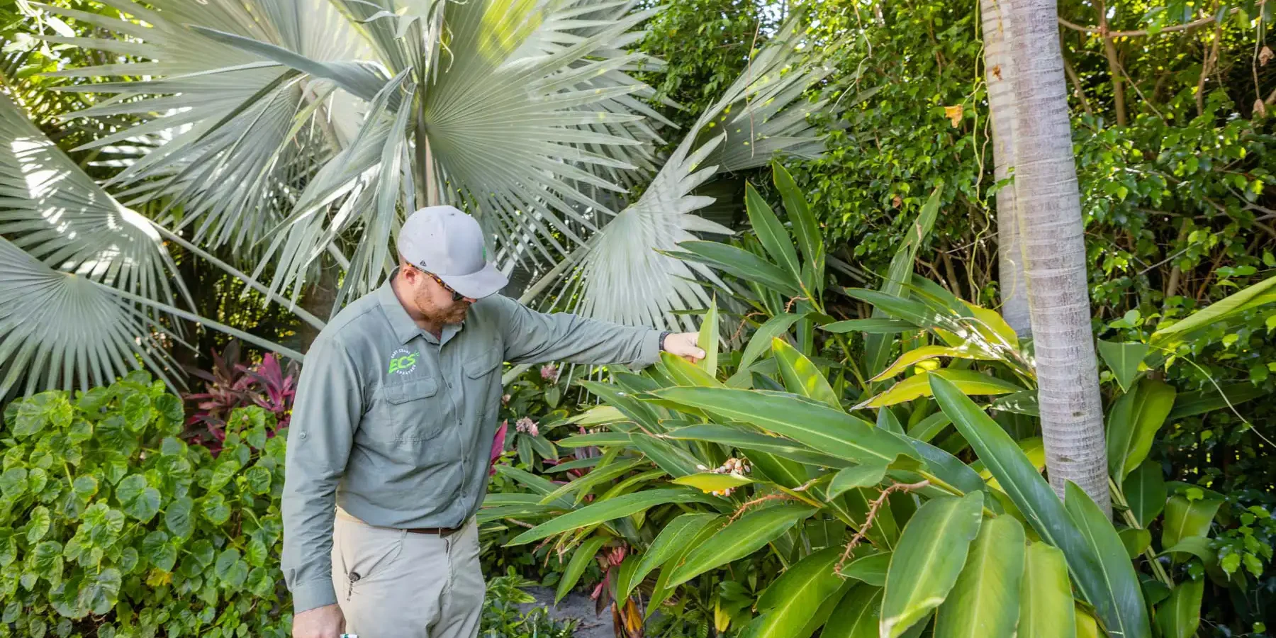 MSH_6M6A7263 Lawn Care Services Delray Beach, FL