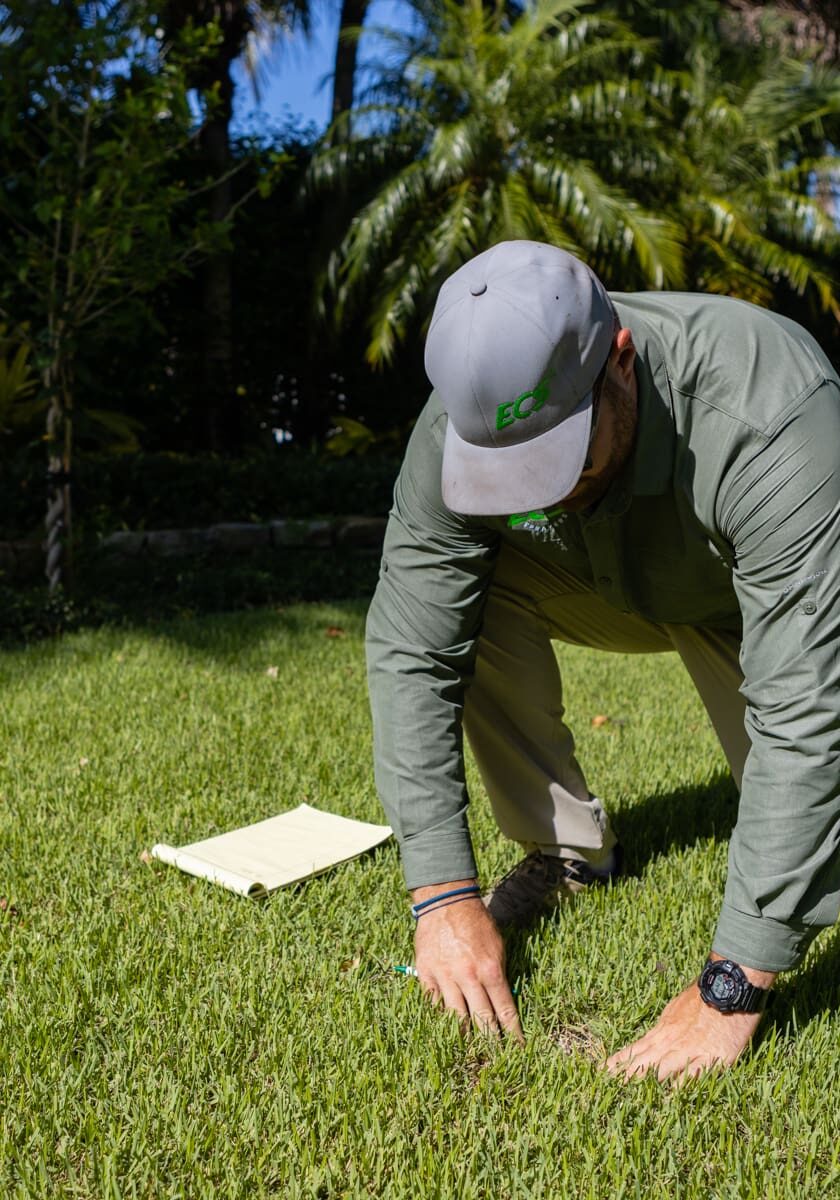 East Coast Sprayers inspecting lawn for brown patch fungus in Palm Beach County