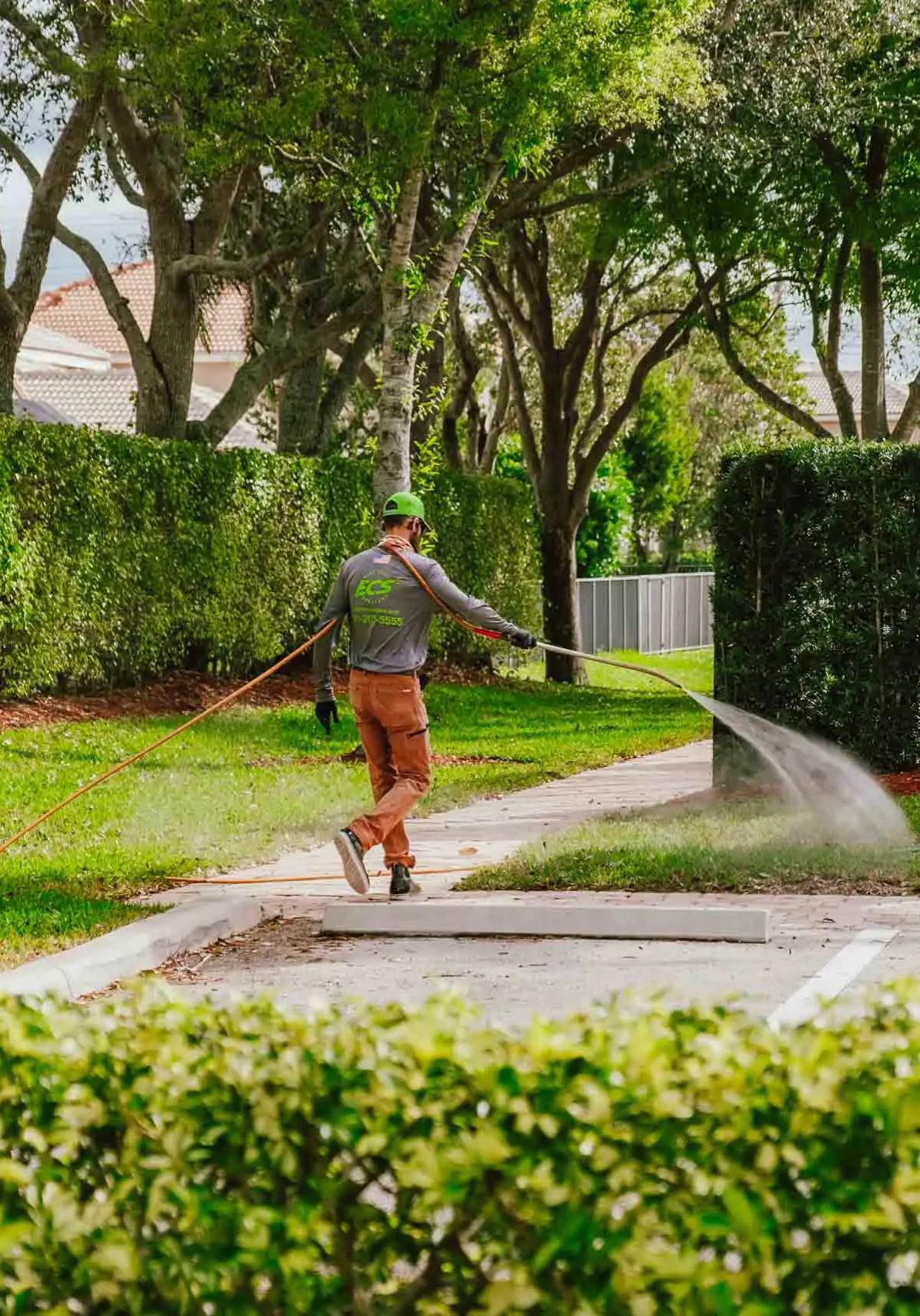 Palm Beach, FL Weed Control