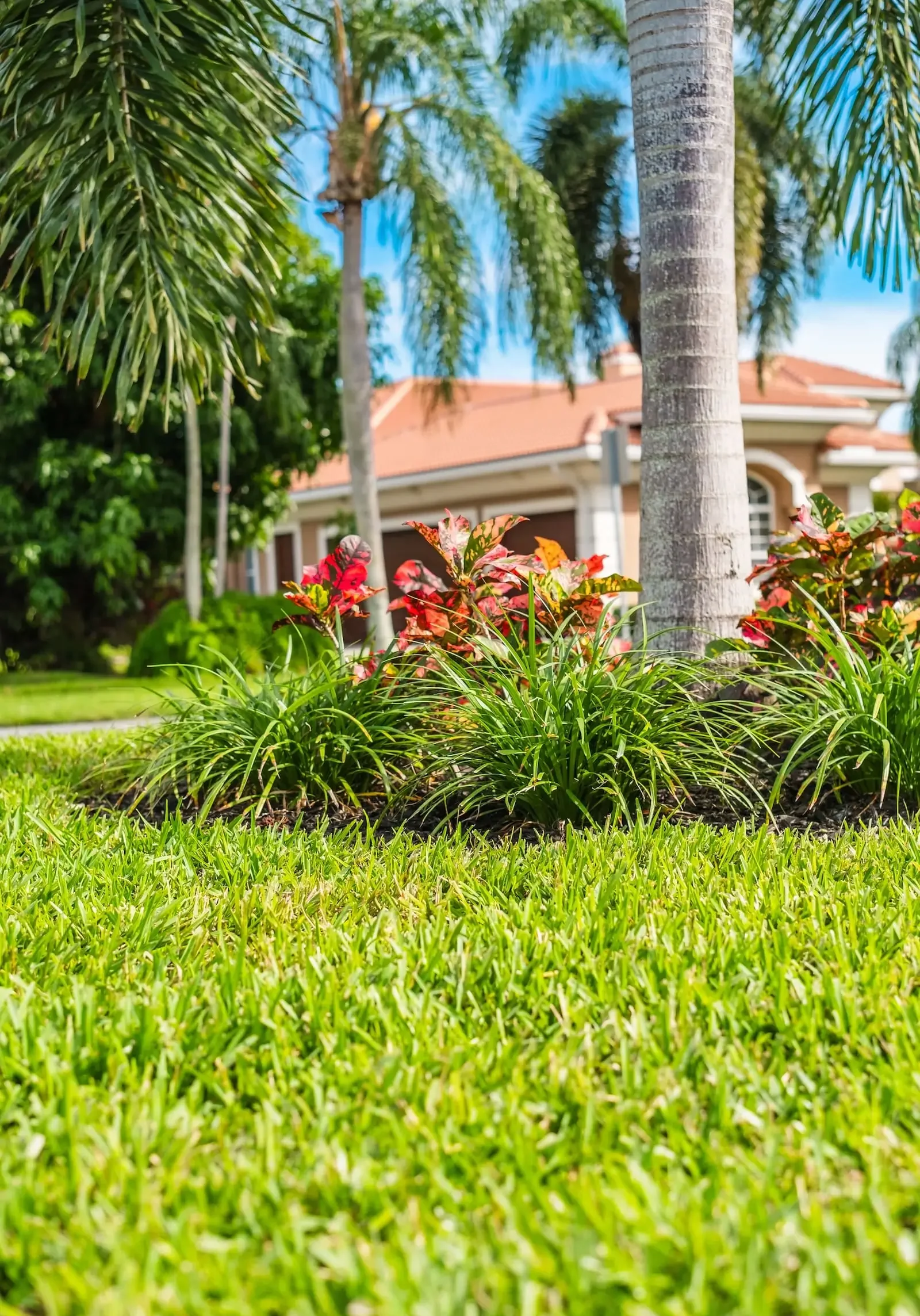 Wellington, FL Lawn Care Services Wellington, FL Lawn Care Services