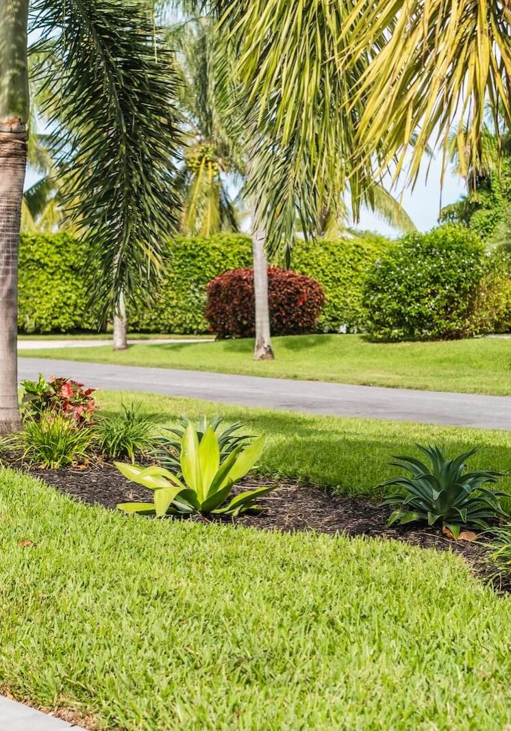 West Palm Beach, FL Lawn Treatment West Palm Beach, FL Lawn Treatment